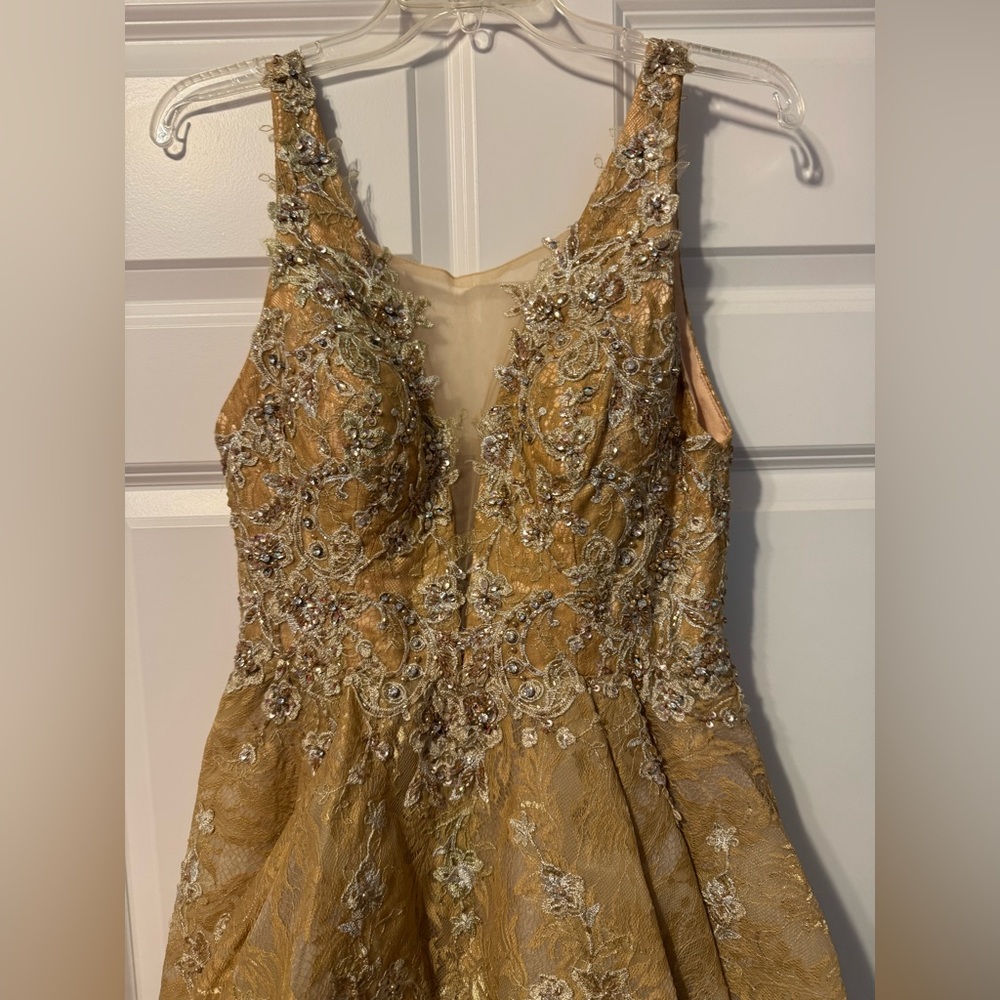 Terani Couture Gold High-Low Ruffled Gown - Picture 3 of 7